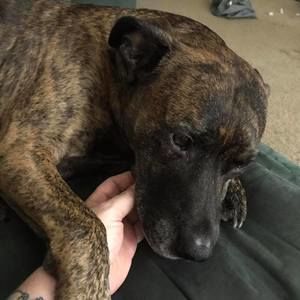 Meet your Posher, Terri-lynn